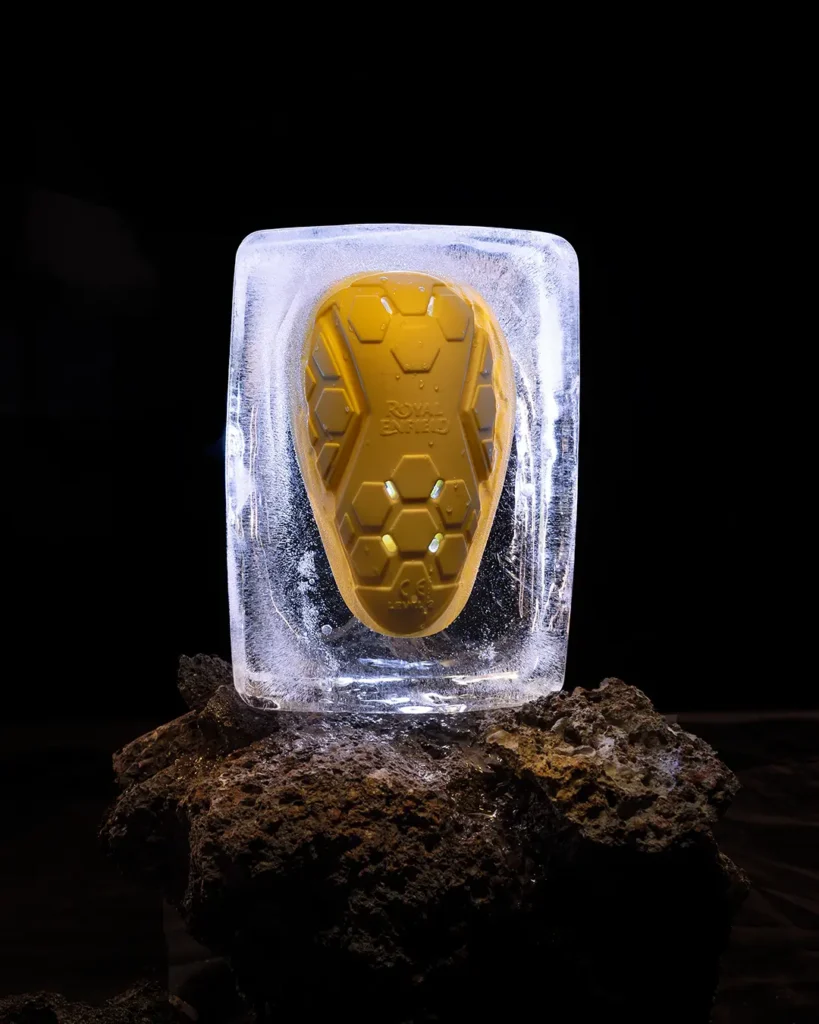 Ergo Pro Tech Armours Royal Enfield 5